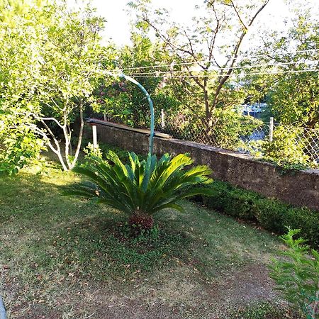 Apartment With Private Garden And The Terrace Ev Station Available 茨里克韦尼察 外观 照片