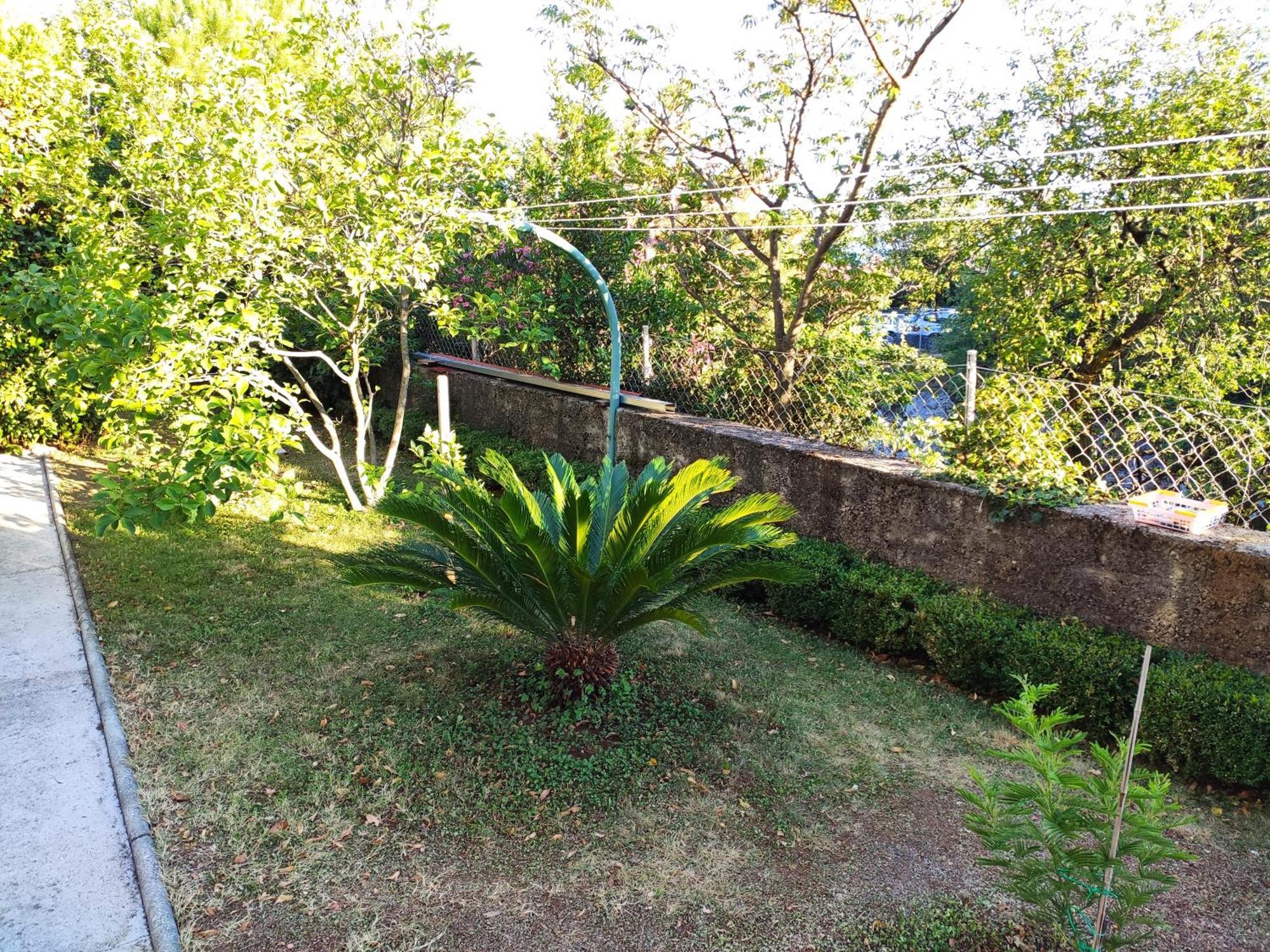 Apartment With Private Garden And The Terrace Ev Station Available 茨里克韦尼察 外观 照片