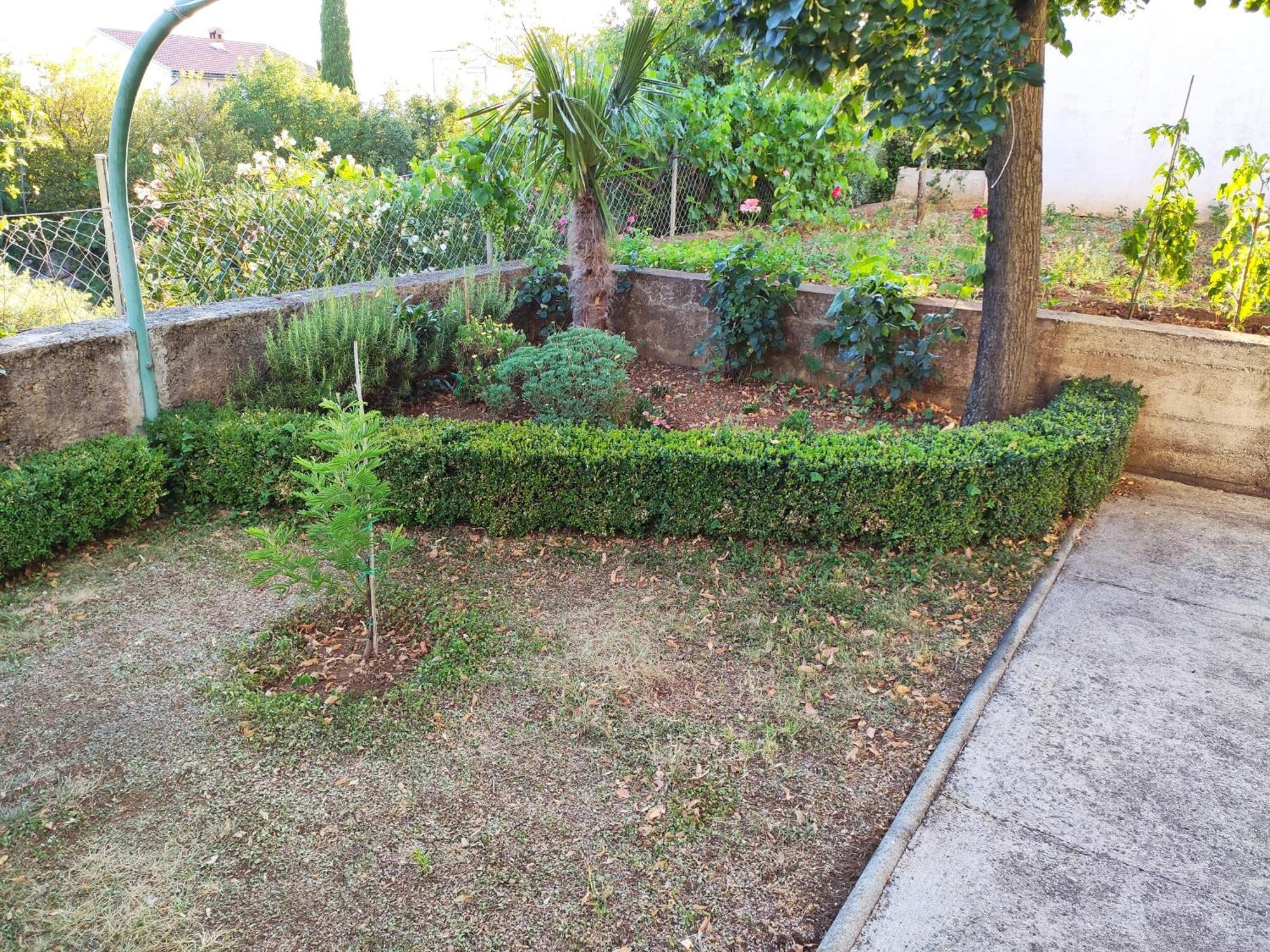 Apartment With Private Garden And The Terrace Ev Station Available 茨里克韦尼察 外观 照片